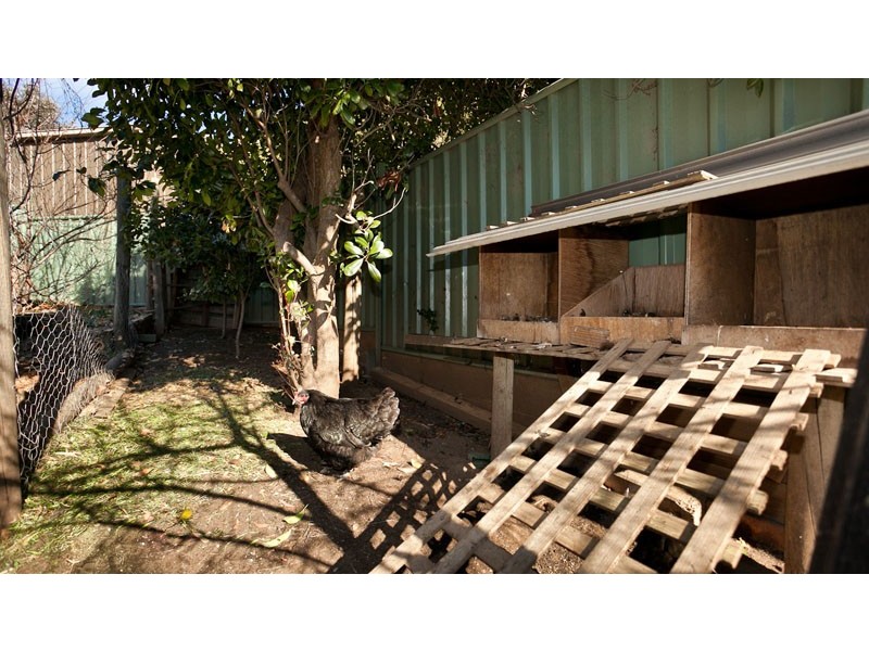 37 Henry Street, Cook ACT 2614