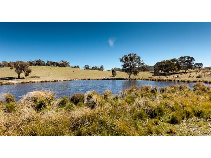 127 Corregans Road, Murrumbateman NSW 2582