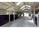 127 Corregans Road, Murrumbateman NSW 2582