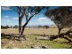 317 Spring Range Road, Wallaroo NSW 2618