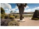 317 Spring Range Road, Wallaroo NSW 2618