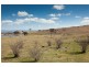317 Spring Range Road, Wallaroo NSW 2618