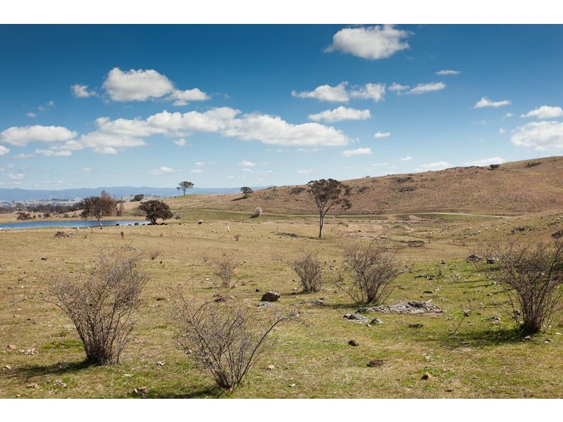 317 Spring Range Road, Wallaroo NSW 2618