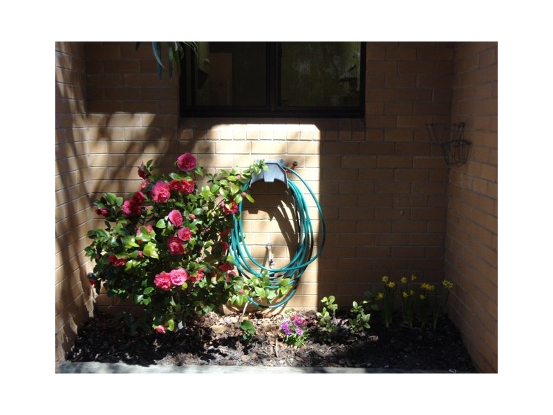 28 Howie Court, Belconnen ACT 2617