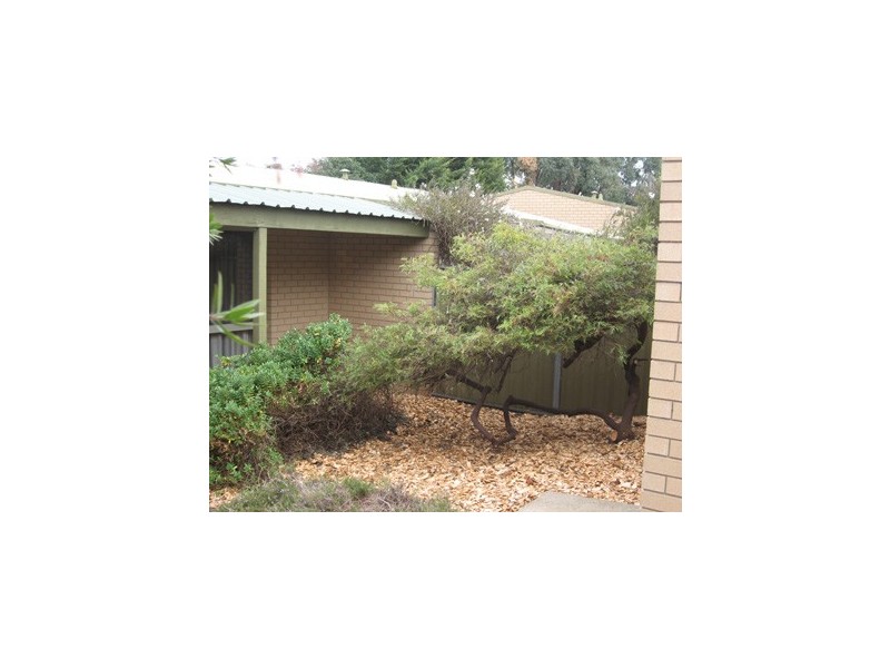 56 Enright Crescent, Florey ACT 2615