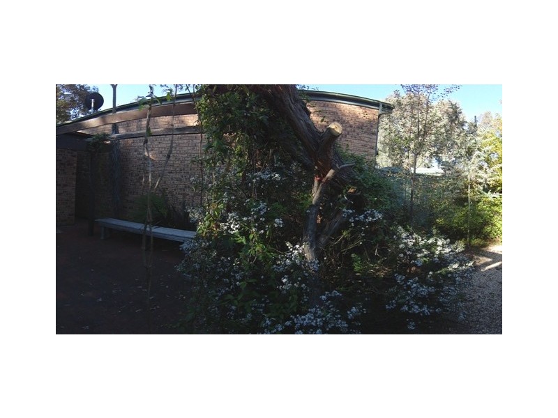 120 Dexter Street, Cook ACT 2614
