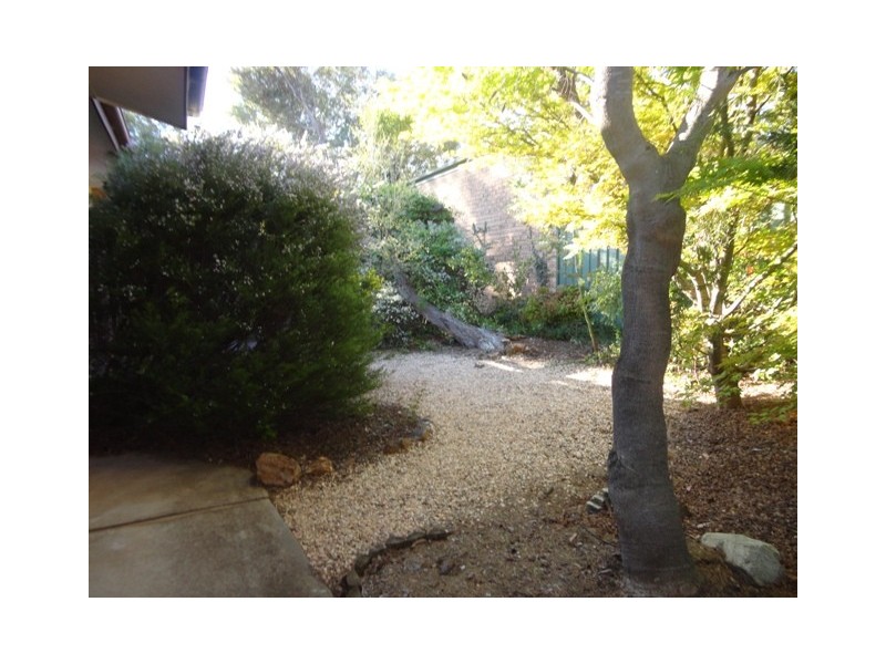 120 Dexter Street, Cook ACT 2614