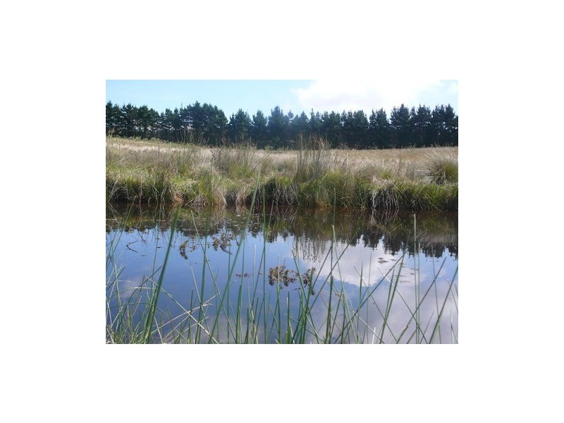 20 Warramunga Close, Wamboin NSW 2620