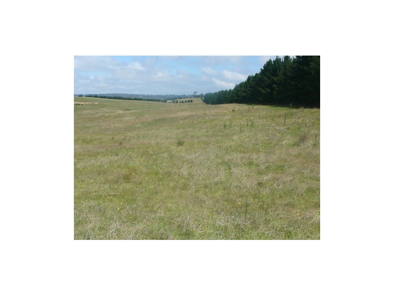 20 Warramunga Close, Wamboin NSW 2620