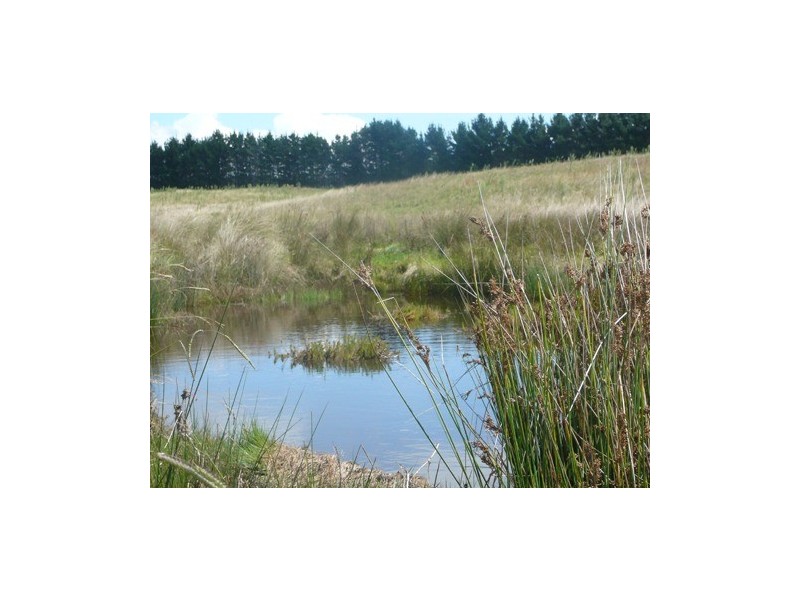 20 Warramunga Close, Wamboin NSW 2620