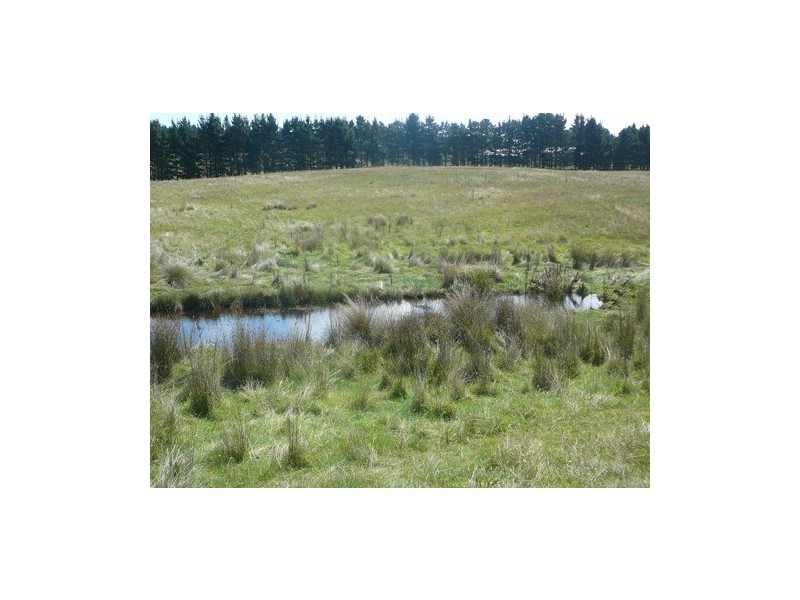 20 Warramunga Close, Wamboin NSW 2620