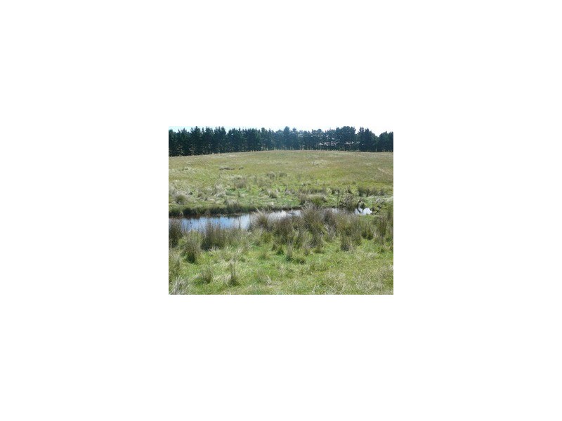 20 Warramunga Close, Wamboin NSW 2620