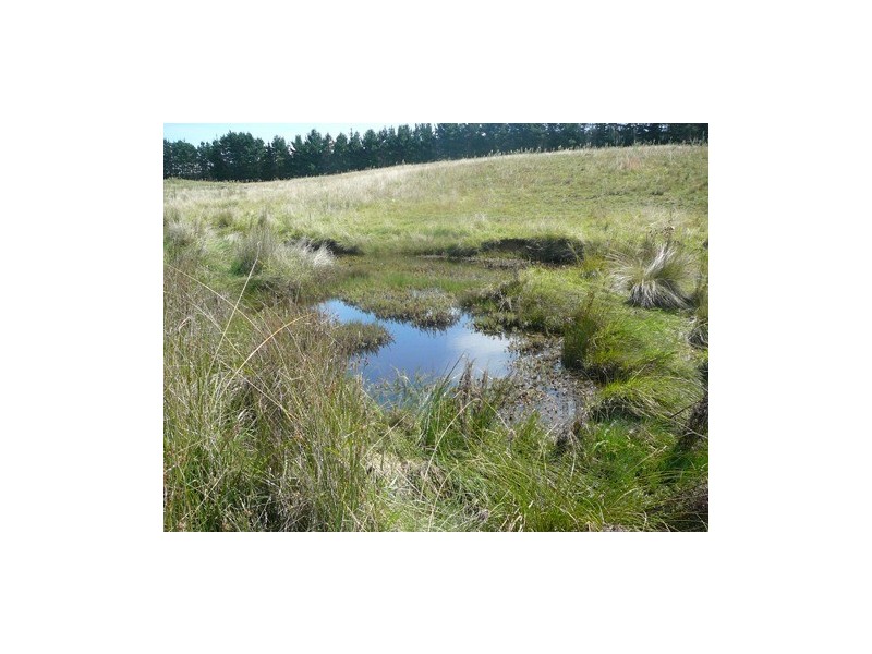 20 Warramunga Close, Wamboin NSW 2620