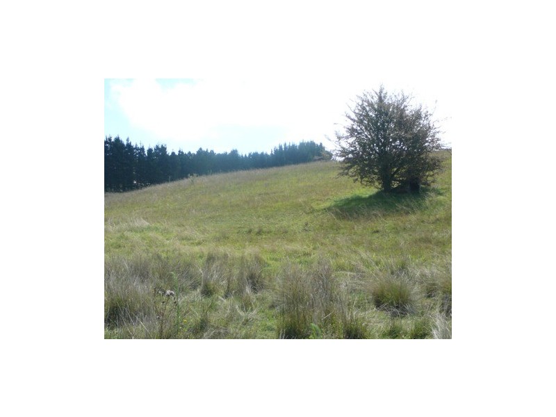 20 Warramunga Close, Wamboin NSW 2620