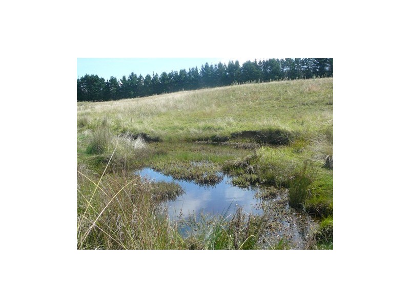 20 Warramunga Close, Wamboin NSW 2620