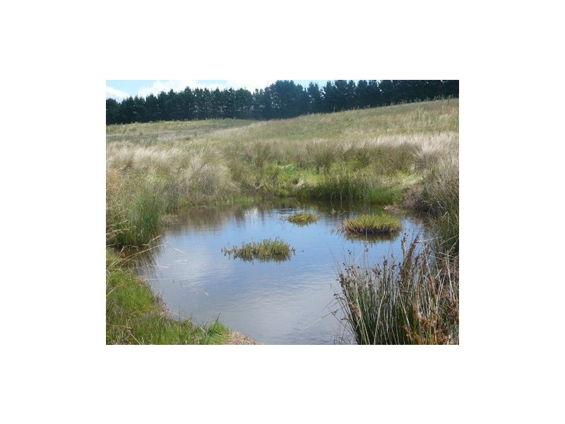 20 Warramunga Close, Wamboin NSW 2620