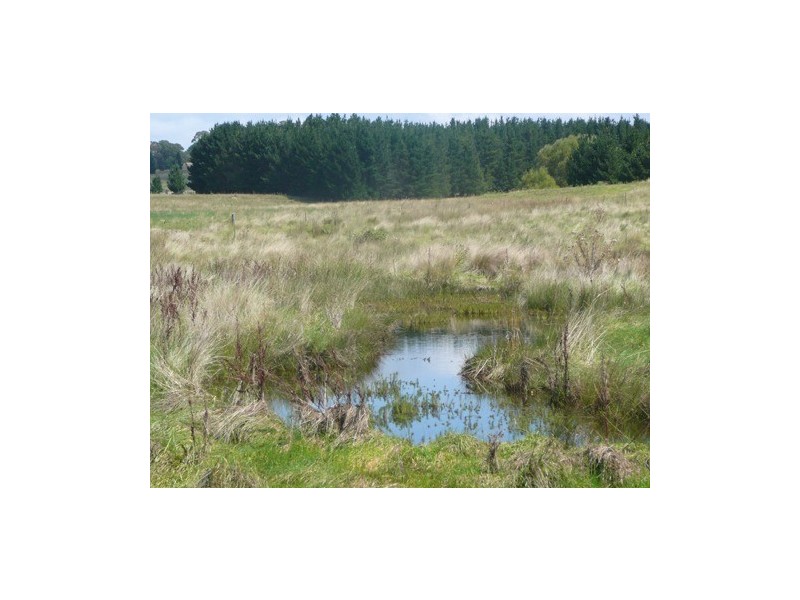 20 Warramunga Close, Wamboin NSW 2620