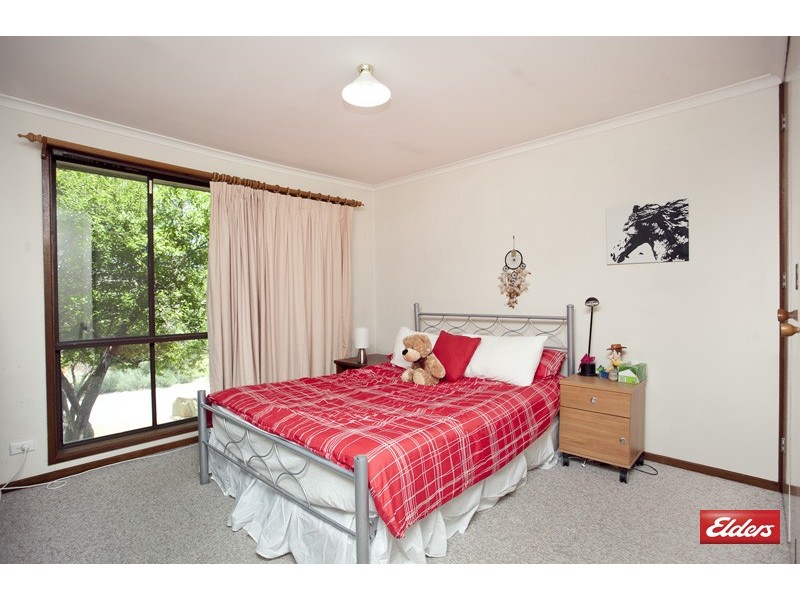 114 Dexter Street, Cook ACT 2614