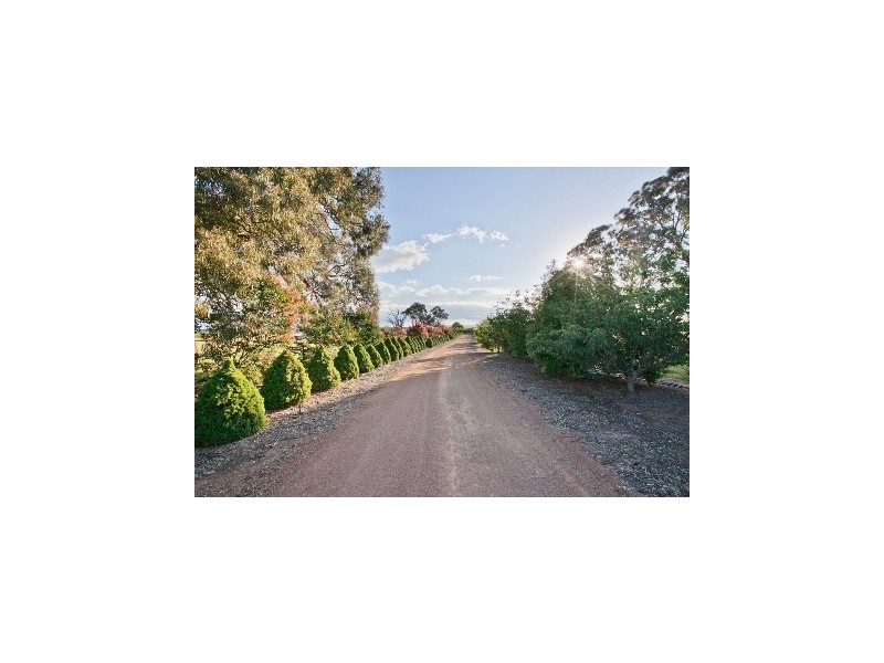 559 Wallaroo Road, Wallaroo NSW 2618