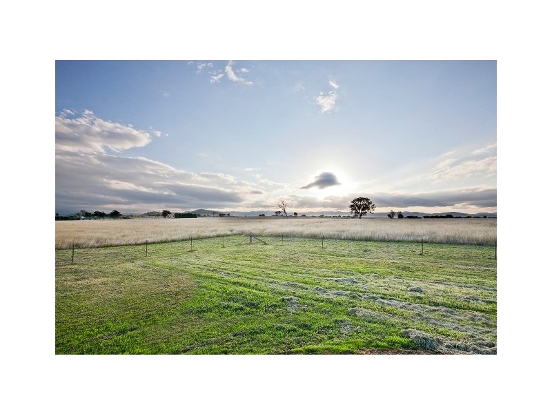 559 Wallaroo Road, Wallaroo NSW 2618