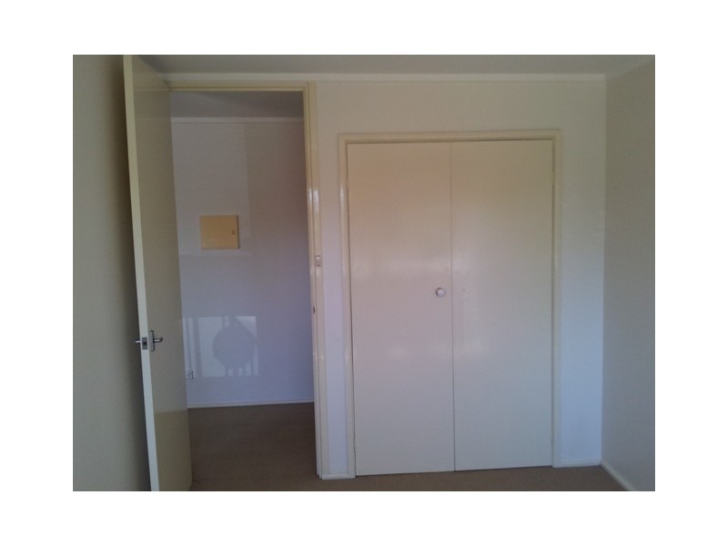 19 Findlay Street, Higgins ACT 2615