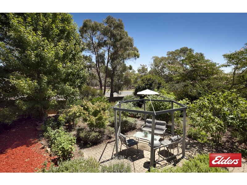 81 Dexter Street, Cook ACT 2614