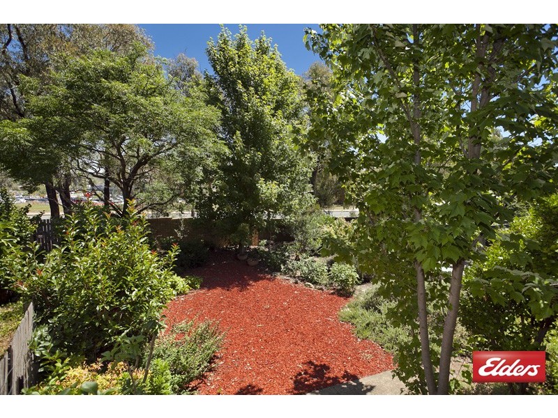 81 Dexter Street, Cook ACT 2614