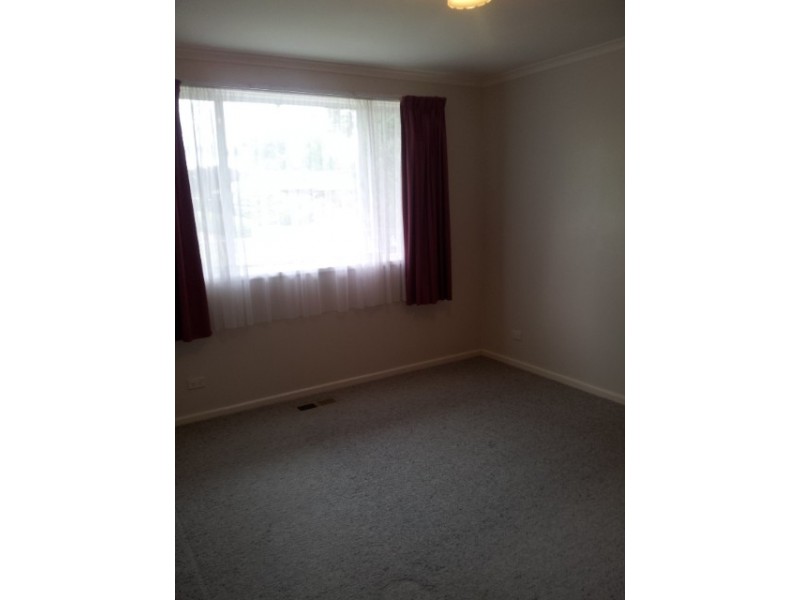 11 Mackinolty Street, Scullin ACT 2614