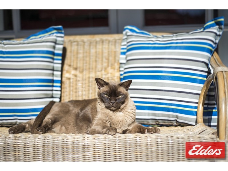 4 Gurnai Place, Aranda ACT 2614