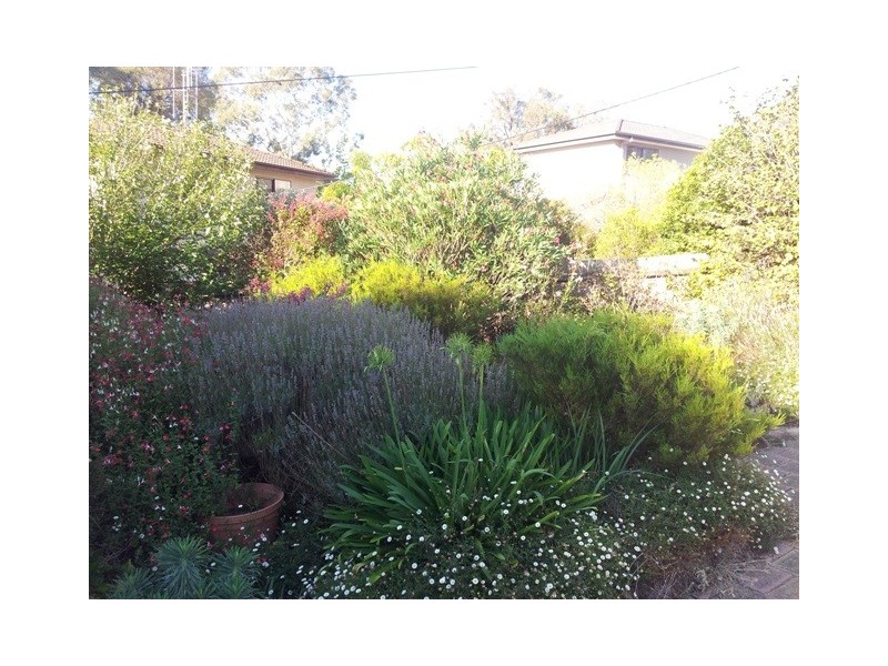 12 Alleyne Close, Macgregor ACT 2615