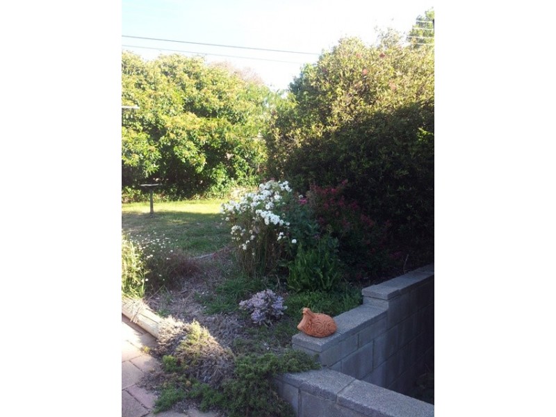 12 Alleyne Close, Macgregor ACT 2615