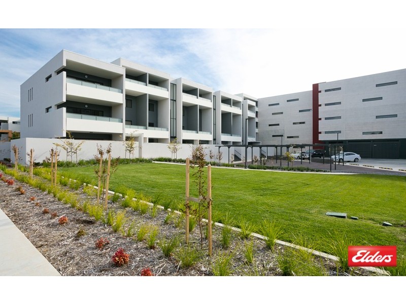 Unit 41/162 Flemington Road, Harrison ACT 2914