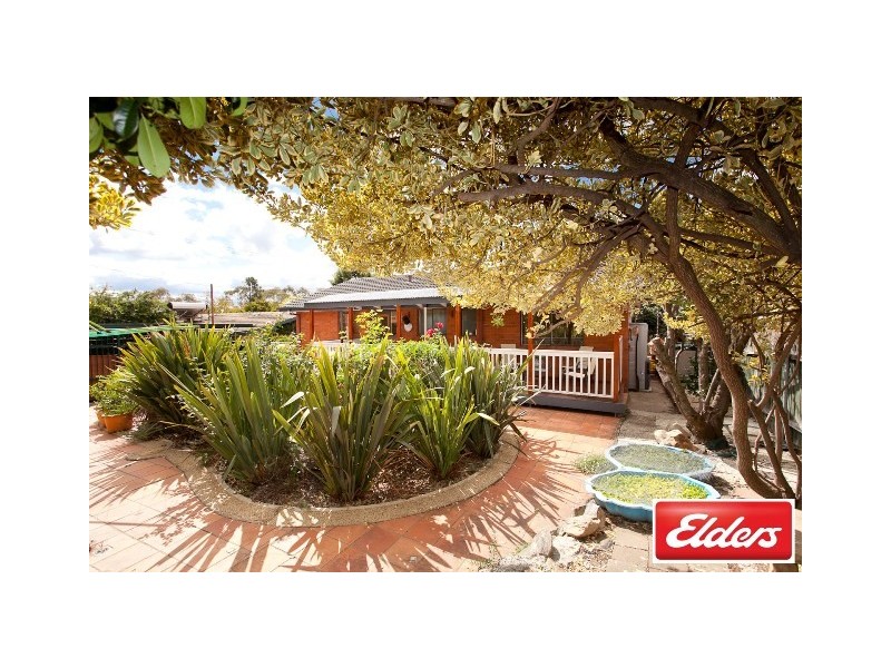 16 Mackellar Crescent, Cook ACT 2614