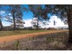 64 Sapling Street, Harrison ACT 2914