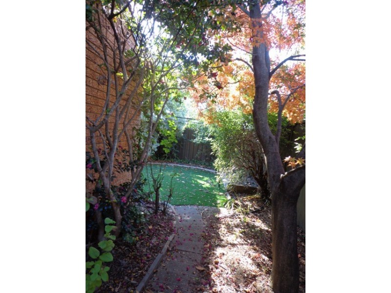 4/1 Sexton Street, Cook ACT 2614