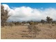5 Fenton Close, Murrumbateman NSW 2582