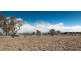 5 Fenton Close, Murrumbateman NSW 2582