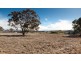 5 Fenton Close, Murrumbateman NSW 2582