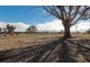 5 Fenton Close, Murrumbateman NSW 2582