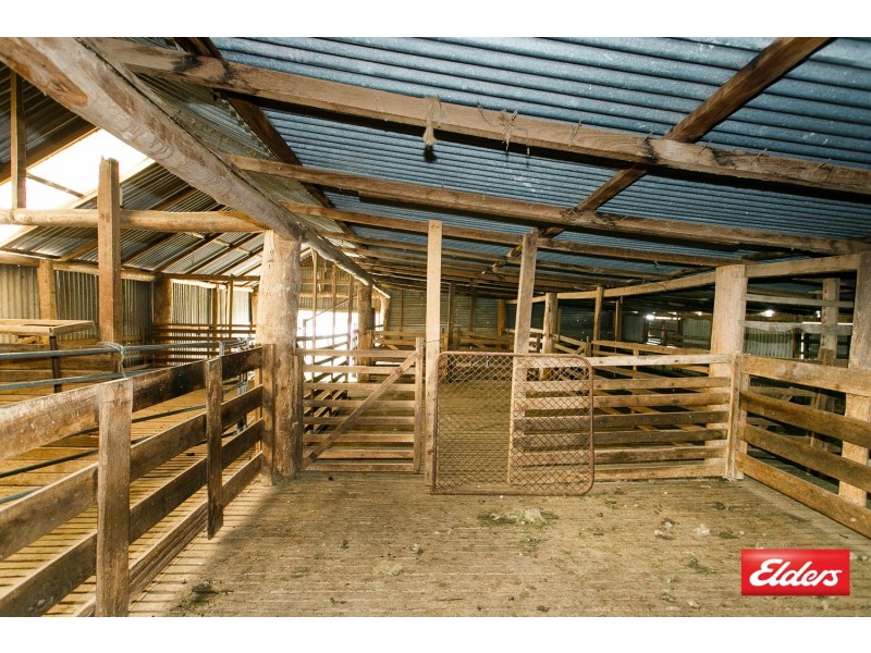 496 Wallaroo Road, Wallaroo NSW 2618