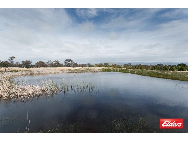 496 Wallaroo Road, Wallaroo NSW 2618