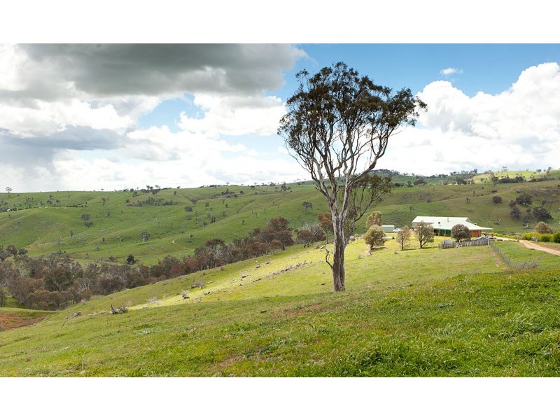 968 Wallaroo Road, Wallaroo NSW 2618