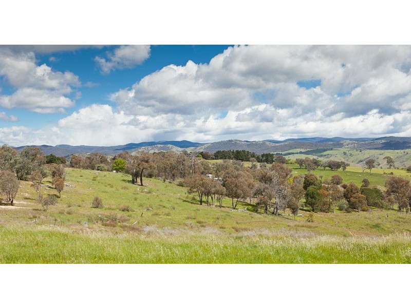 968 Wallaroo Road, Wallaroo NSW 2618