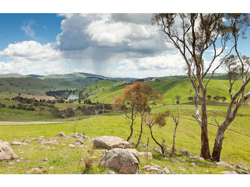 968 Wallaroo Road, Wallaroo NSW 2618