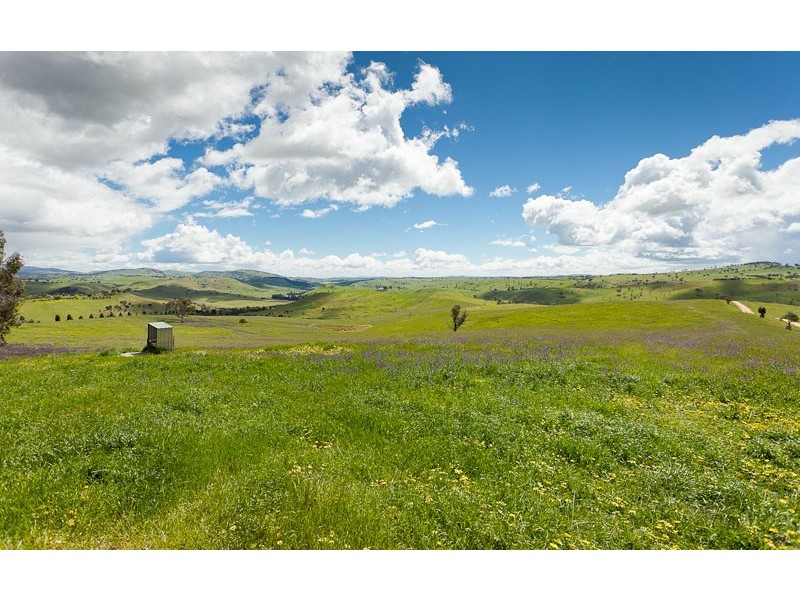 968 Wallaroo Road, Wallaroo NSW 2618