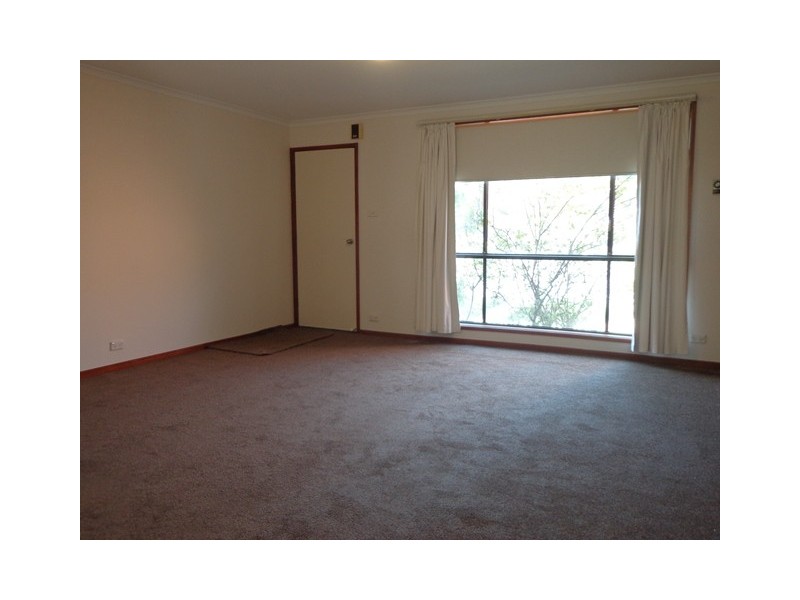 38 Dexter Street, Cook ACT 2614