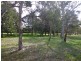 38 Dexter Street, Cook ACT 2614