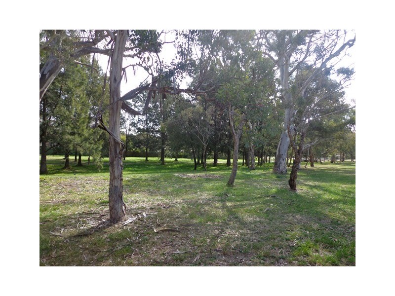 38 Dexter Street, Cook ACT 2614