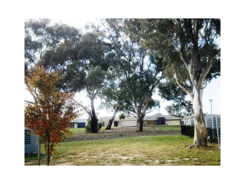 31 Tom Nicholas Crescent, Forde ACT 2914