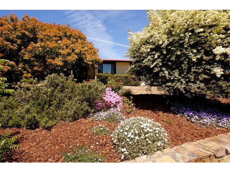 6 Healy Street, Spence ACT 2615